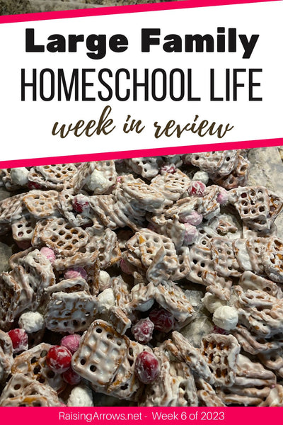 Large Family Homeschool Life – Week 6 of 2023