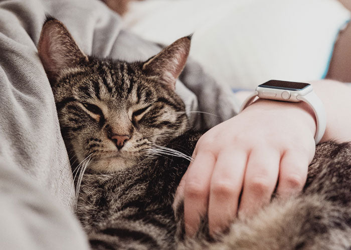 55 Universally-Hated Things That People Say Don’t Deserve The Hate