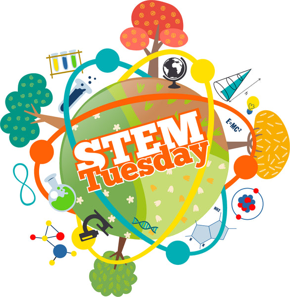 STEM Tuesday — Geology — Interview with Author Jennifer Swanson