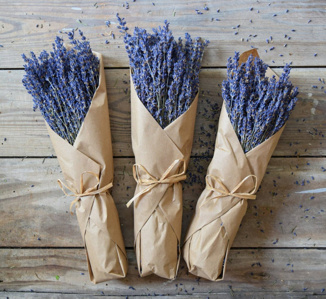 Mercilessly Beautiful Dried Lavender Bunches
