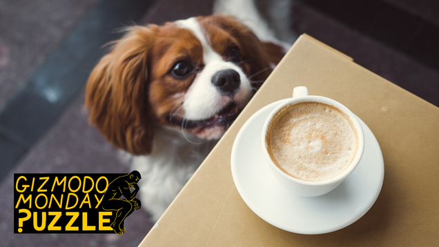 Gizmodo Monday Puzzle: You’ve Been Drinking Your Coffee All Wrong