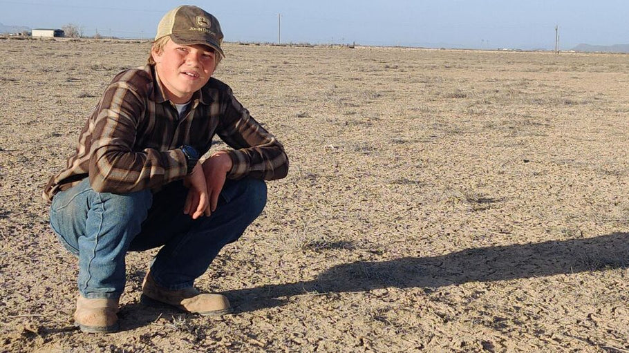 How did Warren Buffett get rich? This boy lived to answer the question