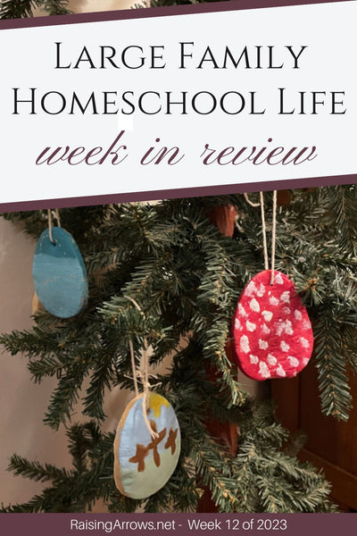 Large Family Homeschool Life – Week 12 of 2023