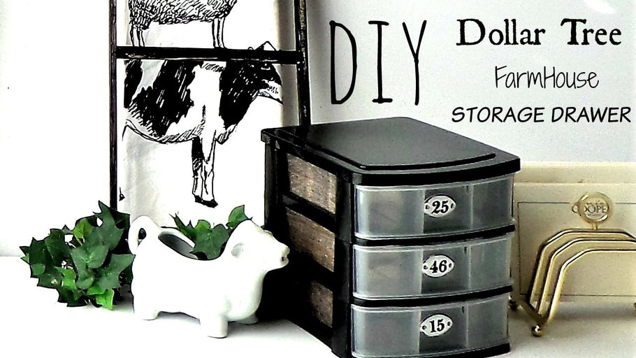 Hands down...!!! Dollar Tree has the best and affordable storage solutions for organizing almost anywhere in or out your home