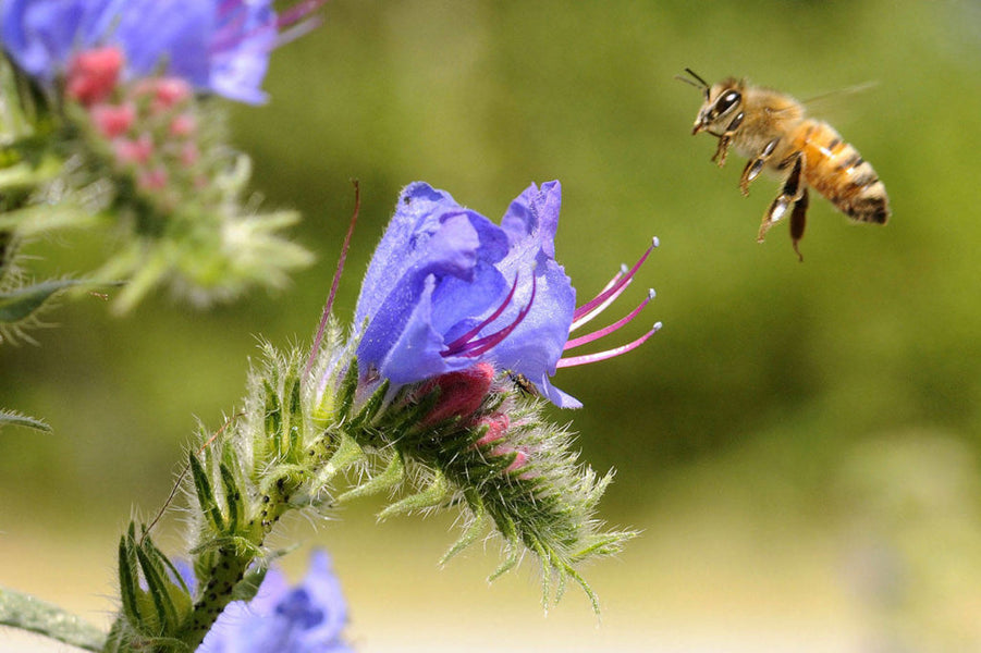 Unofficial holidays: Here’s what people are celebrating for the week of July 4 to 10