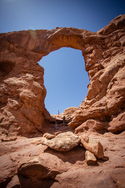 Mother Culturing: Second Quarter 2022