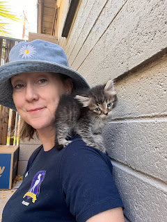 International Cat Day by Jenn McKinlay