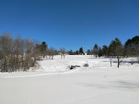 Wordle, Puzzles, and Snow - The Week in Review