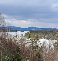 Canva, Groundhogs, and Docs - The Month in Review