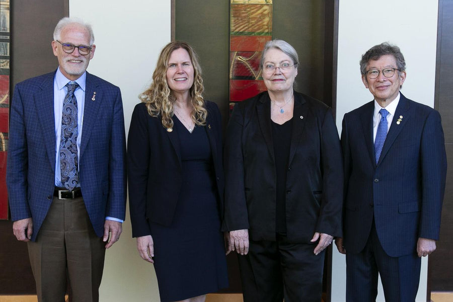 Where the President-Elect Candidates Stand on Key Issues