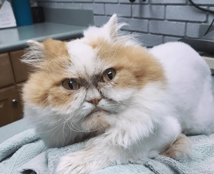 Sunday, April 17, 2022, Jeffrey Wechsler