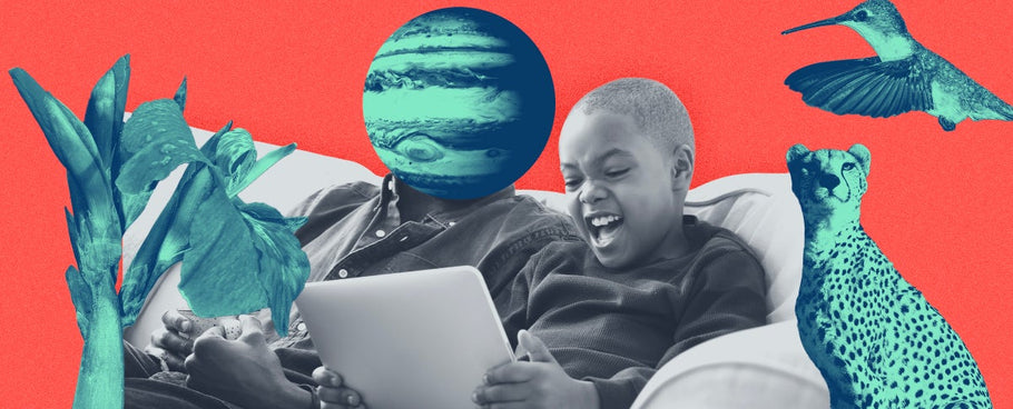 Fascinating Trivia Questions for Kids and Adults