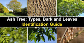 Thursday, May 13, 2021 Steve Mossberg