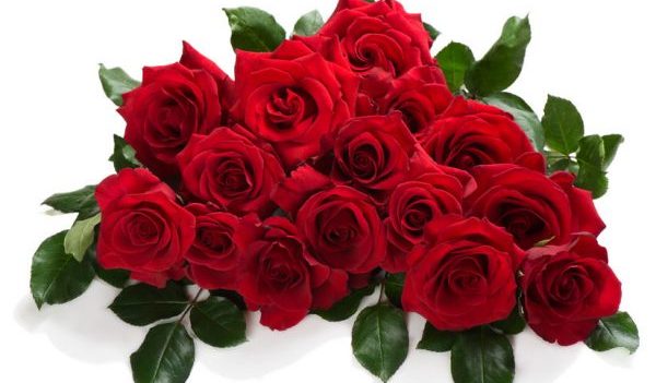 Whole Foods: Get two dozen roses for just $24.99 this Valentine’s Day (best price in Atlanta!)