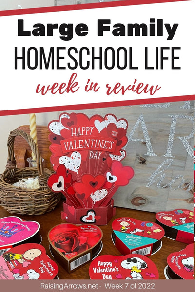 Large Family Homeschool Life – Week 7 of 2022