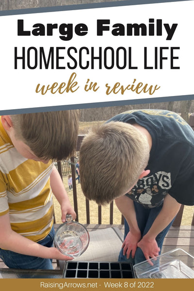Large Family Homeschool Life – Week 8 of 2022