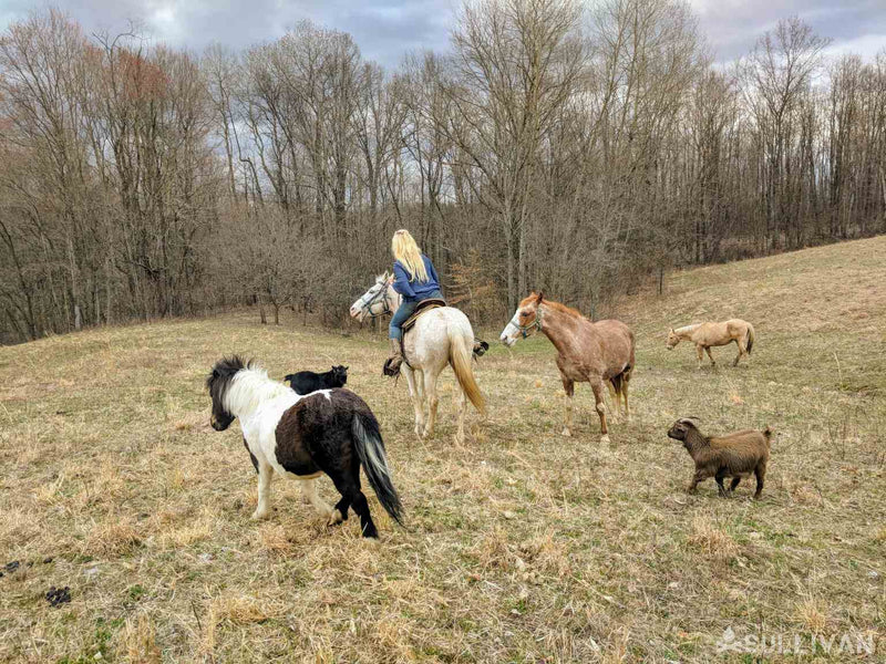 33 Prepper Side Hustles for Long-term Survival