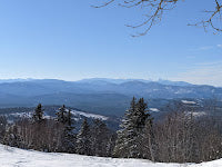 Puzzles, Hearts, and Sounds - The Week in Review