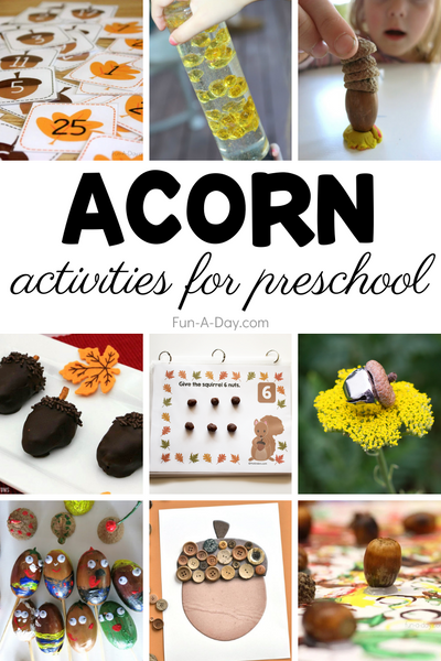 The Best Acorn Crafts and Activities for Preschool