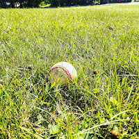 The Math and Science of Baseball