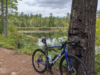 Forms, Games, and Files - The Week in Review