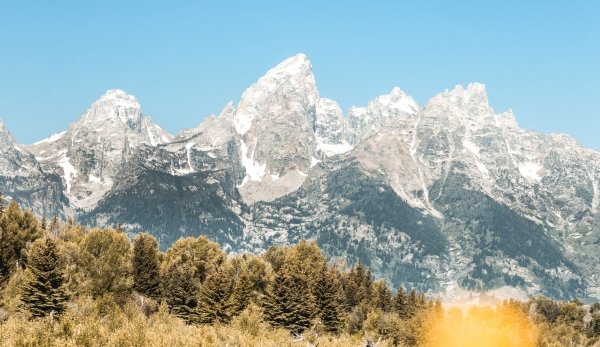 Nearly Murdered by a Bison — How To Deal With Feeling Washed