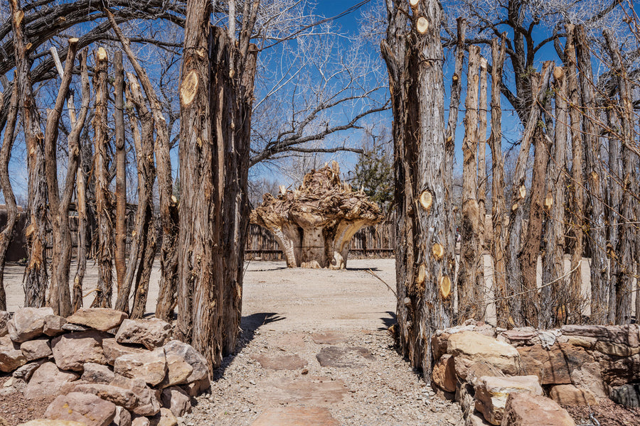 House Call: Shoring Up—and Unbuttoning—One of the Most Historic Casitas in Galisteo, New Mexico