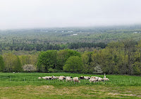 Five Fun Science Games for Kids